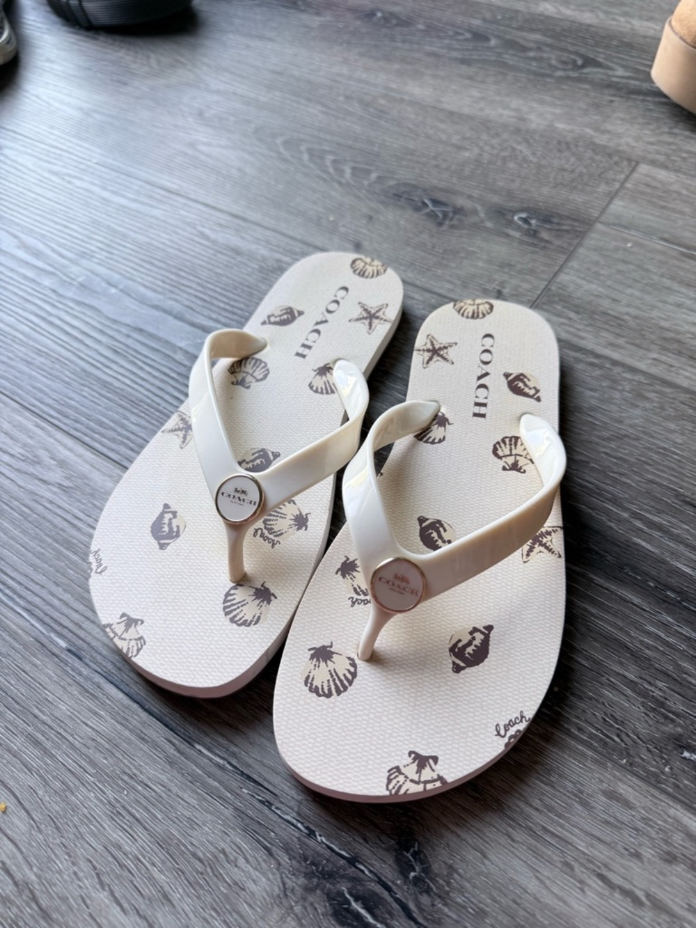 Coach Cream and Brown Logo-Print Flip-Flops